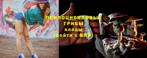 Альфа ПВП Аркадак