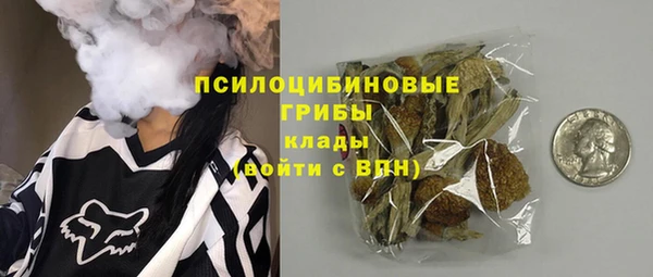 spice Арсеньев