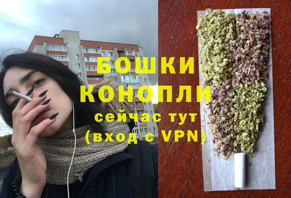 Альфа ПВП Аркадак
