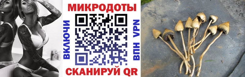 Галлюциногенные грибы мицелий  магазин продажи   Тобольск 